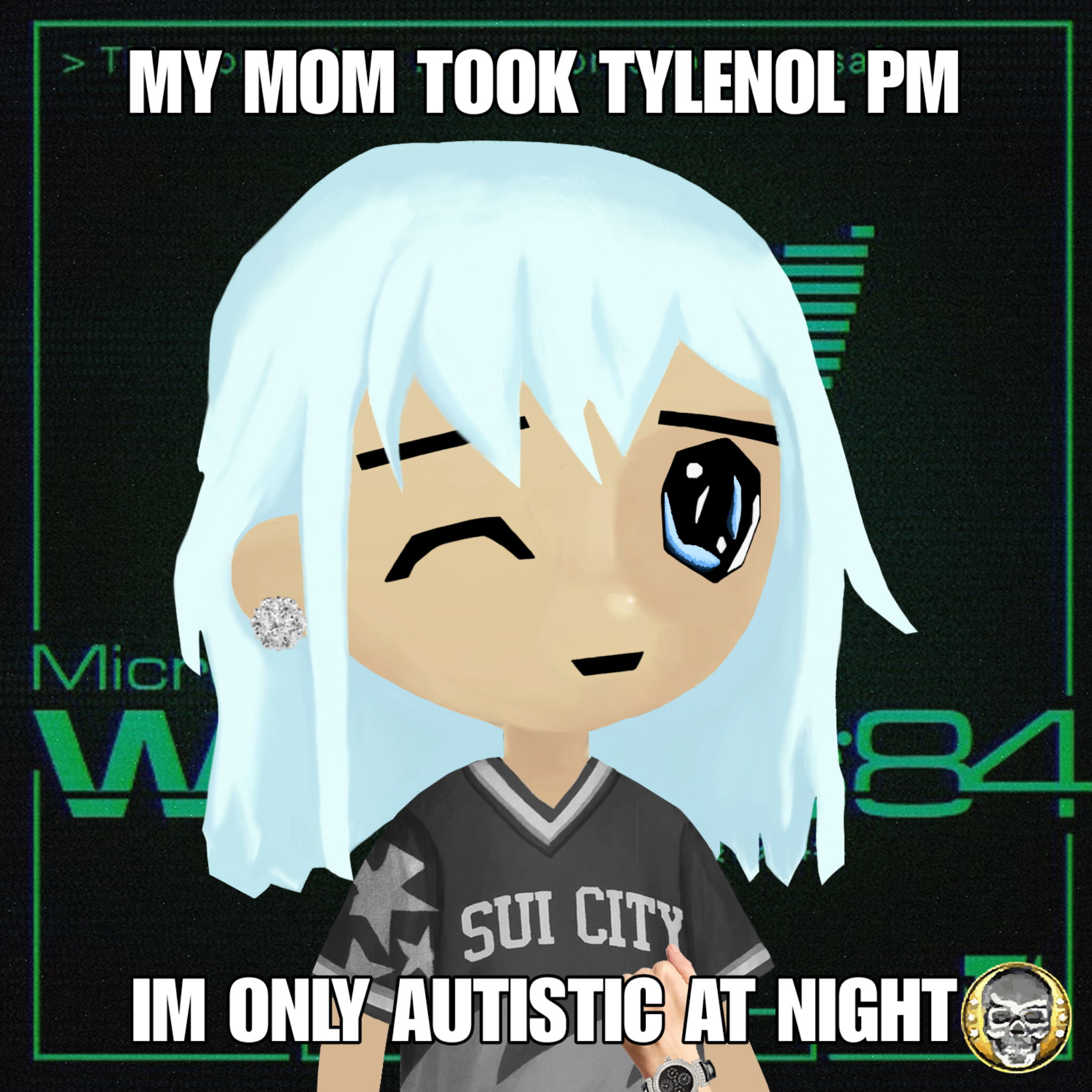 text description my stupid pfp